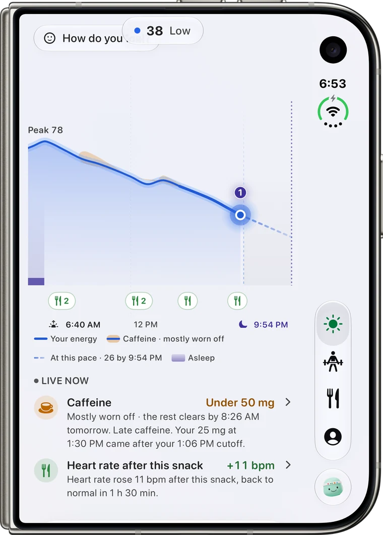 Reps on folded iPhone Duo in a single pane: the day's energy curve and what is live now, caffeine wearing off and heart rate after a snack
